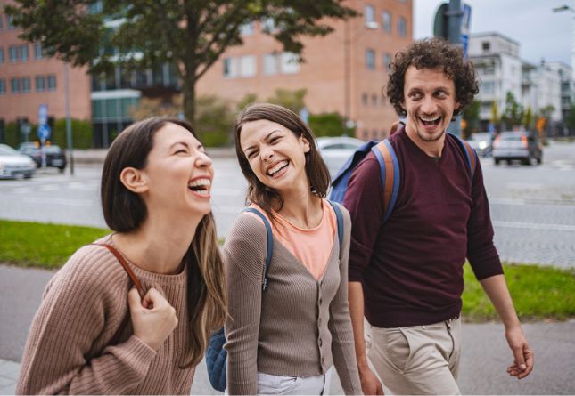 recherche kot flandre